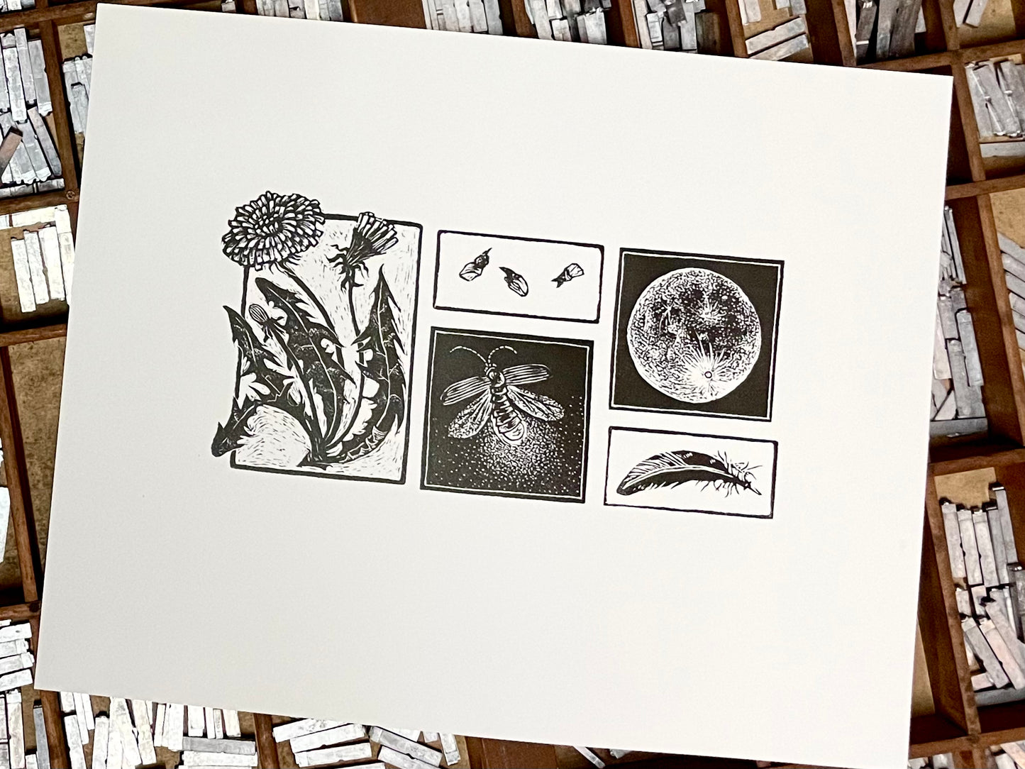 Wonder Cabinet #2