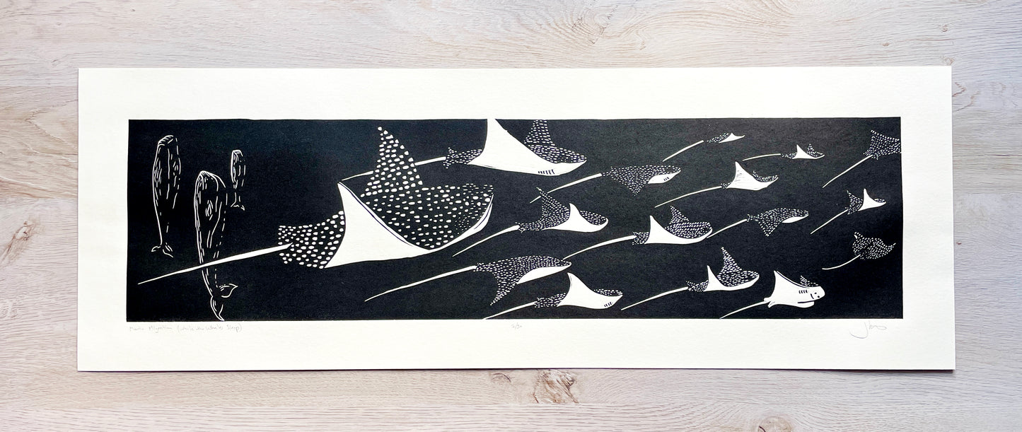 Manta Migration