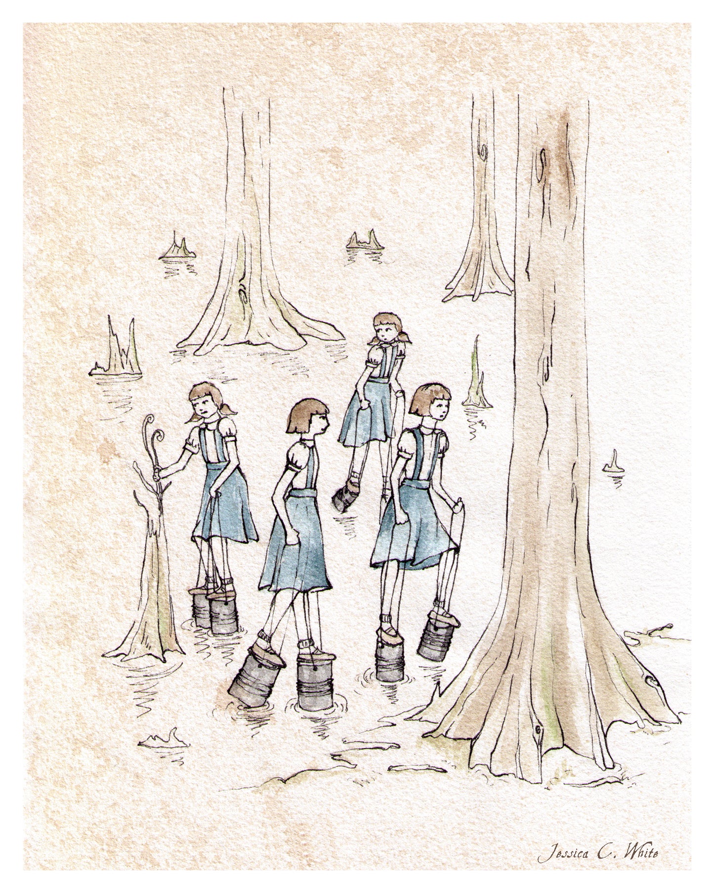 Swamp Walk