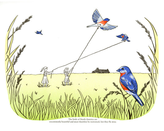 Birds of North America - Ltd. Ed. Print