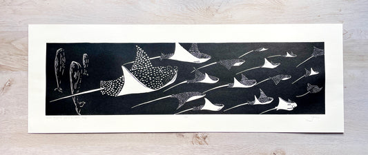 Manta Migration